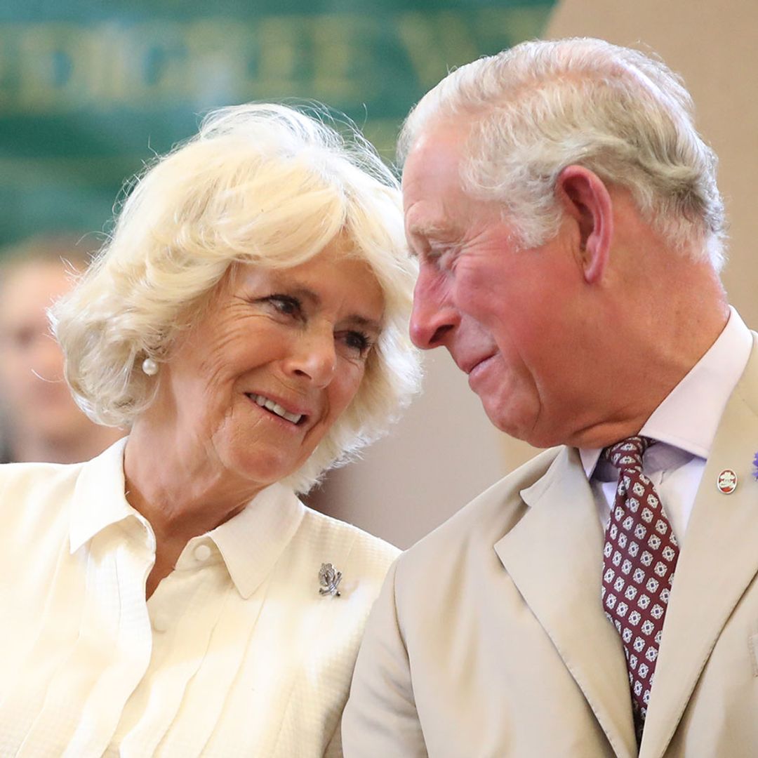 Queen Camilla's bookish corner at majestic home is every author's dream