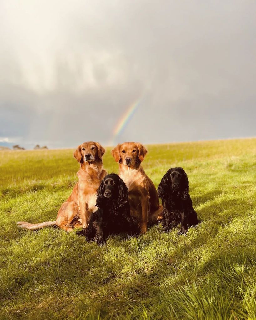 The dad-of-one couldn't have a sweeter bond with his pooches