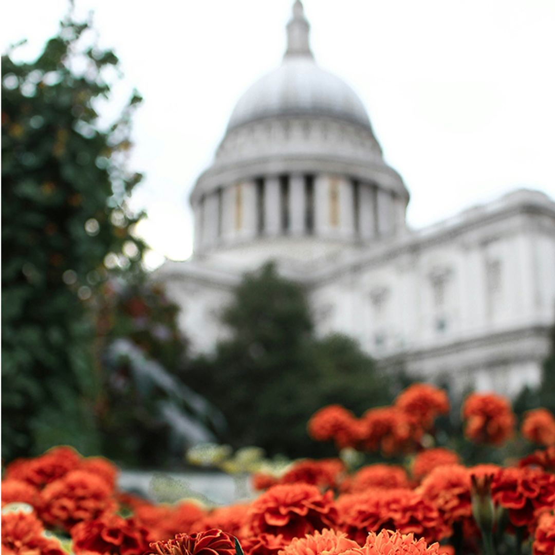 24 marvellous things to do in London in March 2024