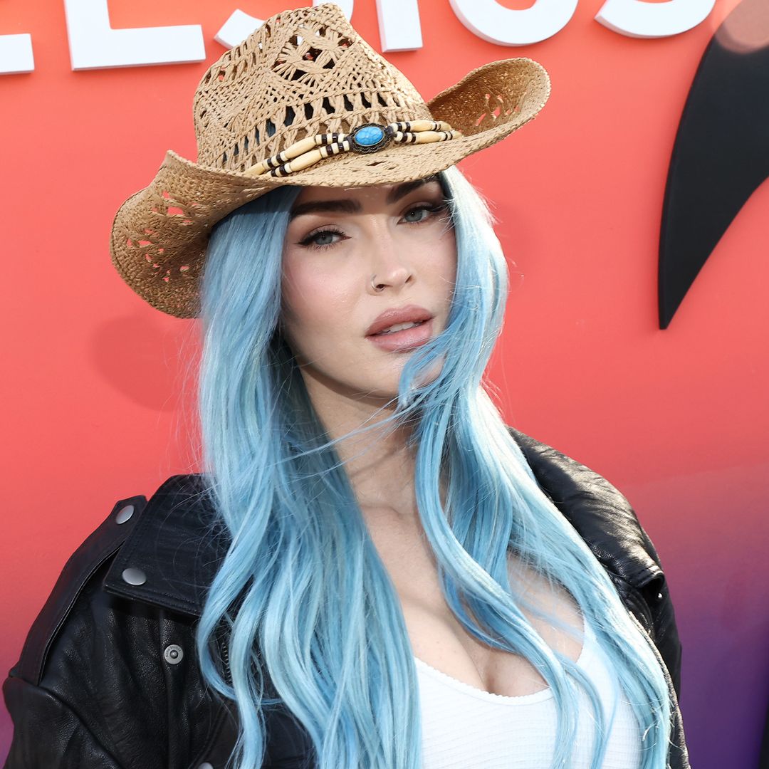 Megan Fox looks unrecognizable in makeup-free photo which raises questions